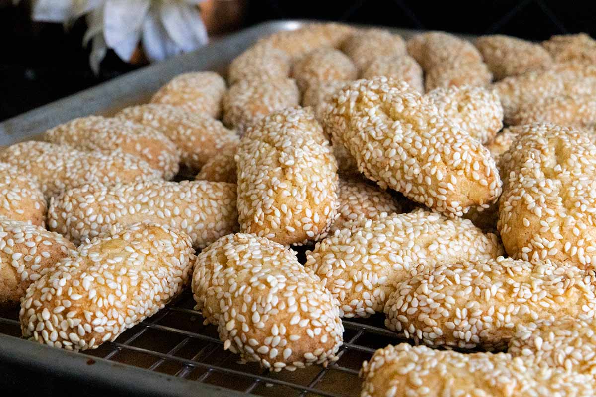 Sesame Cookies